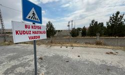 Kars'ta tilkiyle boğuşan köpek telef olunca belde kuduz karantinasına alındı