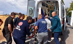 Kırıkkale'de elektrik direğine çarpan çöp kamyonundaki 2 görevli yaralandı