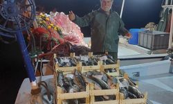 Kırklareli'nin İğneada beldesinde balıkçılar ağlarını lüferle doldurdu