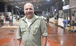 Kocaeli'de yeni sezonun ilk balık mezadı yapıldı