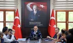 Köyceğiz ve Milas'taki yangınlarda 2 bin 403 hektar alan zarar gördü