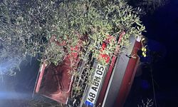 Muğla'da şarampole devrilip ağaca çarpan otomobildeki 2 kişi öldü
