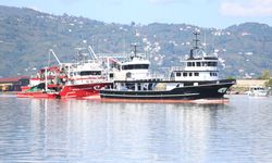 Ordu'da balıkçılar limana kasalar dolusu hamsiyle döndü
