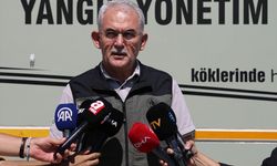 Orman Genel Müdürü Karacabey'den söndürme çalışmaları süren orman yangınlarına ilişkin açıklama: