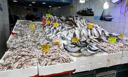 Samsun'da hamsi tezgahta 200-300 liradan satılıyor