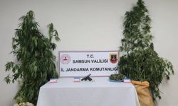 Samsun'da uyuşturucu operasyonunda 2 zanlı yakalandı
