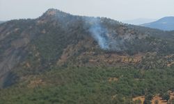 Şırnak'ta orman ve örtü yangınına müdahale ediliyor