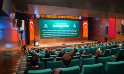 'Spor Kulüpleri ve Spor Anonim Şirketleri Mevzuatı ve Denetimi Semineri'