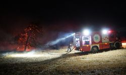 Tekirdağ'da anızda başlayıp ağaçlık alana sıçrayan yangın söndürüldü