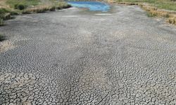 Tekirdağ'da Kırkkepenekli Göleti kuraklık nedeniyle kuruma noktasına geldi