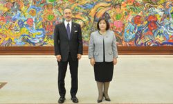 TİHEK Başkanı Altun, Azerbaycan Milli Meclisi Başkanı Gafarova ile görüştü
