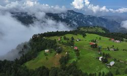 Trabzon'un yüksek kesimlerinde sis etkili oldu