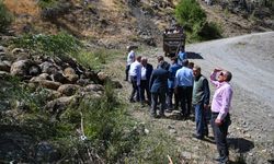 Van'da kayalık alandan düşen 334 küçükbaş hayvan telef oldu