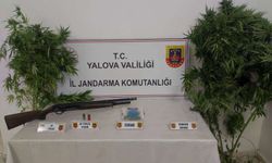 Yalova'da uyuşturucu operasyonunda 2 şüpheli yakalandı