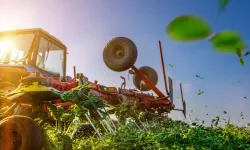 AgroGreen Bursa 2025, 16 ülkeden satın almacı ağırlayacak