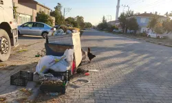 İpsala'da CHP’li Meclis Üyesi'nden Başkan Kerman’a bakımsızlık eleştirisi