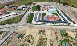 Sakarya’da sokak hayvanları için örnek çalışma