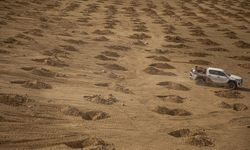 Erbil, "yeşil kuşak" projesiyle 7 milyon ağaçla çevrelenecek