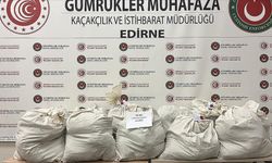 Kapıkule'de tır dorsesine gizlenmiş 113 kilo 664 gram esrar ele geçirildi
