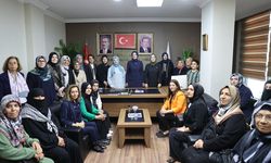 AK Parti Genel Başkan Yardımcısı Kaya, Şanlıurfa'da ziyaretlerde bulundu: