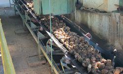 Amasya Şeker Fabrikası'nda 72. pancar alım kampanyası için tören düzenlendi