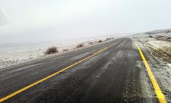 Ardahan'da kar ve tipi buzlanmaya neden oluyor