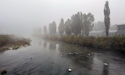 Ardahan'da sis etkili oldu