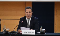 'Arnavutluk-AB İstikrar ve Ortaklık Parlamenter Komitesi' toplandı