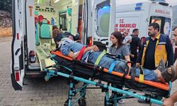 Aydın'da uçuruma yuvarlanan kamyonetteki 3 kişi yaralandı