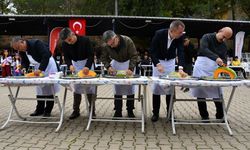 Bilecik'te Kızıldamlar Kestane Kabağı Festivali yapıldı