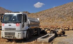 Bitlis'te kırsalda susuz kalan koyunlara belediye ekipleri tankerle su taşıdı