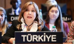 Büyükelçi Aybet, İsrail'in BM kararıyla kurulan UNRWA'yı yasaklamaya hakkı olmadığını belirtti