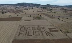 Çanakkaleli çiftçi Filistin'e destek için tarlasına traktörle 'Özgür Filistin' yazdı