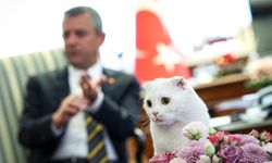 CHP Genel Başkanı Özel'den 4 Ekim Dünya Hayvanları Koruma Günü paylaşımı