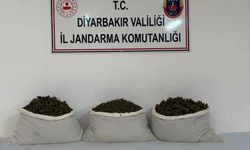 Diyarbakır'da uyuşturucu operasyonlarında 15 kilogram skunk ele geçirildi