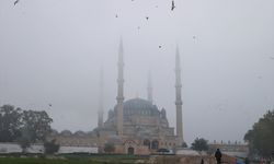 Edirne ve Tekirdağ'da sis etkili oldu