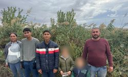 Edirne'de 6 düzensiz göçmen yakalandı