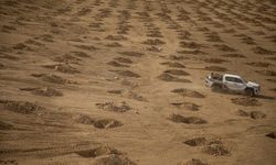 Erbil, 'yeşil kuşak' projesiyle 7 milyon ağaçla çevrelenecek