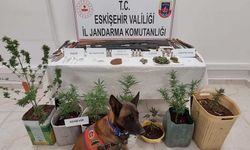 Eskişehir'de uyuşturucu operasyonunda 7 şüpheli yakalandı