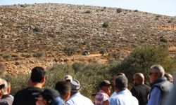 Filistin topraklarını gasbeden İsrailliler, Batı Şeria'da zeytin hasadı yapan Filistinlilere saldırdı