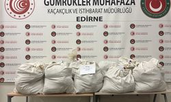 Kapıkule'de tır dorsesine gizlenmiş 113 kilo 664 gram esrar ele geçirildi