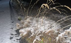 Kars'ın yüksek kesimlerinde kar etkili oluyor