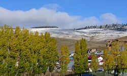 Kars'ta kar, soğuk hava ve kırağı etkili oldu