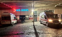 Kars'ta ördek avlayan baba kazaen vurduğu oğlunu öldürdü