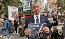 Kocaeli'de asırlık çınar ağaçları 'kitap açtı'