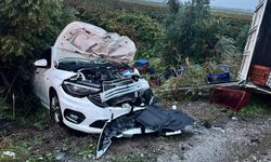 Manisa'da kamyonet ile otomobil çarpıştı, 2 kişi öldü, 3 kişi yaralandı