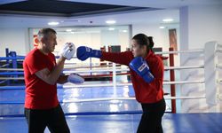 Milli boksör Sahranur'un hedefi Avrupa şampiyonluğu