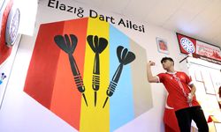 Milli dartçılar Bedirhan ve Mahmut, Slovakya'da derece için çalışıyor