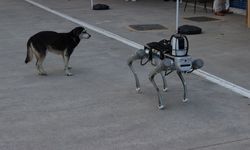 Milli robot köpek 2026 başında göreve hazır olacak