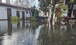 Muğla'da sağanak nedeniyle ev ve iş yerlerini su bastı
